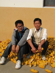 正在刷新